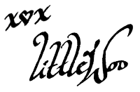 littlewoo-pen-signature